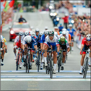 Case Studies picture